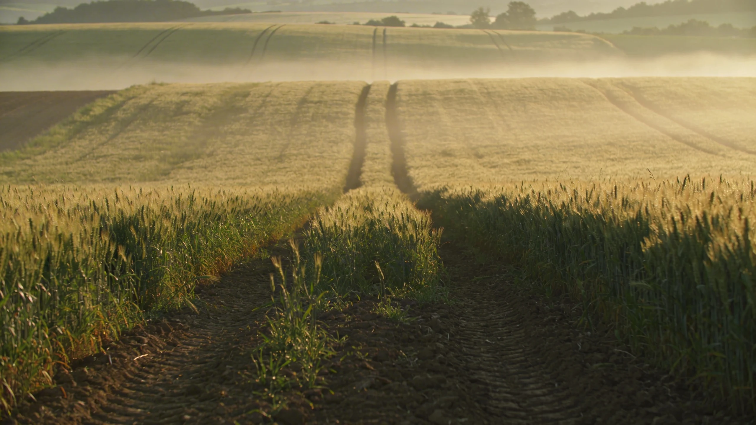 Top métiers Agriculture Peche Environnement face à l’IA en 2026